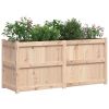 Garden Planter 59.1"x19.7"x27.6" Solid Wood Pine