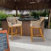 Bar Stools Set of 2, Outdoor Counter Height Bar Chairs with Arm and Backrest