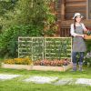 Raised Garden Bed with 2 Planter Boxes and 3 Trellis